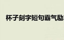 杯子刻字短句霸气励志 杯子经典刻字语录