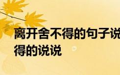 离开舍不得的句子说说心情 要离开了却舍不得的说说