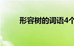 形容树的词语4个字 形容树的词语