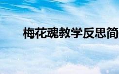 梅花魂教学反思简书 梅花魂教学反思