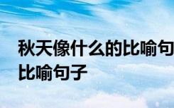 秋天像什么的比喻句30字 描写秋天像什么的比喻句子