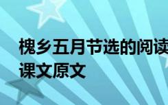 槐乡五月节选的阅读答案 《槐乡五月》小学课文原文