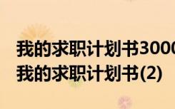 我的求职计划书3000字职业定位服装打版师 我的求职计划书(2)