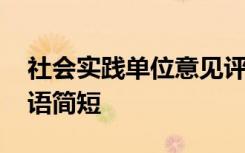 社会实践单位意见评语简短 实践单位意见评语简短