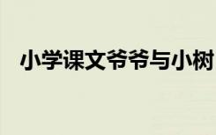 小学课文爷爷与小树 爷爷和小树课文原文