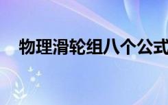 物理滑轮组八个公式 物理滑轮组8个公式