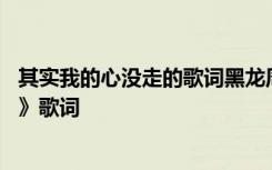 其实我的心没走的歌词黑龙周艳泓 周艳泓《其实我的心没走》歌词