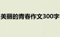 美丽的青春作文300字 美丽的青春500字作文