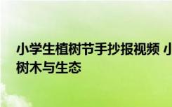 小学生植树节手抄报视频 小学生植树节手抄报内容及图片:树木与生态