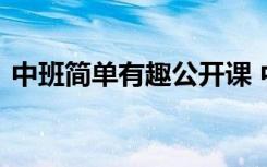 中班简单有趣公开课 中班有趣的公开课教案