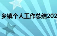 乡镇个人工作总结2023 乡镇个人的工作总结