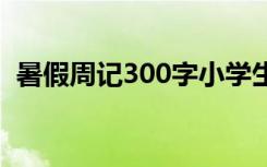 暑假周记300字小学生 暑假周记300字小学