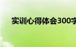 实训心得体会300字左右 实训心得体会