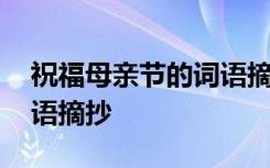 祝福母亲节的词语摘抄大全 祝福母亲节的词语摘抄