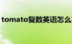 tomato复数英语怎么写 tomato的复数形式