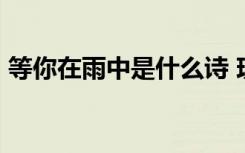 等你在雨中是什么诗 现代诗歌：等你,在雨中