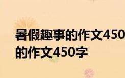 暑假趣事的作文450字四年级下册 暑假趣事的作文450字