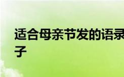 适合母亲节发的语录 适合母亲节发的唯美句子