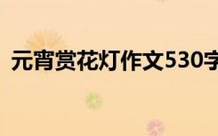 元宵赏花灯作文530字左右 元宵赏花灯作文