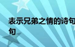 表示兄弟之情的诗句大全 表示兄弟之情的诗句