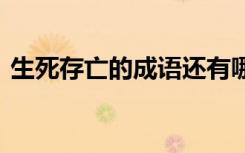 生死存亡的成语还有哪些 生死存亡成语解析