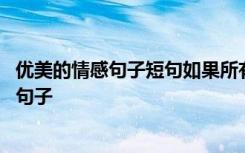 优美的情感句子短句如果所有的伤痕都可以痊愈 优美的情感句子