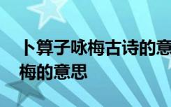 卜算子咏梅古诗的意思陆游 陆游词卜算子咏梅的意思