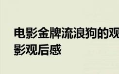 电影金牌流浪狗的观后感 《金牌流浪狗》电影观后感