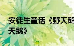 安徒生童话《野天鹅》好词 安徒生童话《野天鹅》