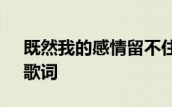 既然我的感情留不住你的温柔歌词 《温柔》歌词