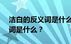 洁白的反义词是什么(最佳答案) 洁白的反义词是什么？