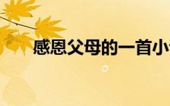 感恩父母的一首小诗 致感恩父母诗歌