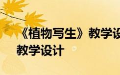 《植物写生》教学设计及反思 《植物写生》教学设计