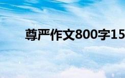 尊严作文800字15篇 尊严作文400字