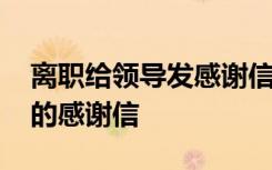 离职给领导发感谢信息 离职员工给领导同事的感谢信