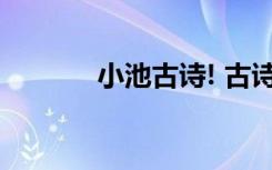 小池古诗! 古诗 《小池》全解