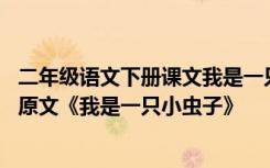 二年级语文下册课文我是一只小虫子 部编本二年级下册课文原文《我是一只小虫子》