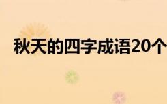 秋天的四字成语20个 秋天的四字成语积累