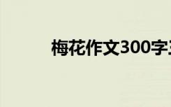 梅花作文300字三年级 梅花作文