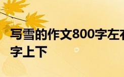 写雪的作文800字左右初中作文 写雪作文800字上下