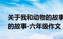 关于我和动物的故事的作文500字 我和动物的故事-六年级作文