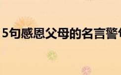 5句感恩父母的名言警句 感恩父母的谚语名言