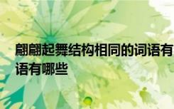 翩翩起舞结构相同的词语有哪些? 与翩翩起舞结构相同的词语有哪些