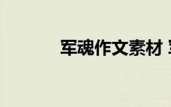 军魂作文素材 军魂作文600字