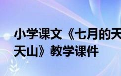 小学课文《七月的天山》教案 小学《七月的天山》教学课件