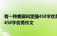 有一种美丽叫坚强450字优秀作文怎么写 有一种美丽叫坚强450字优秀作文