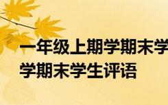 一年级上期学期末学生评语大全 一年级上期学期末学生评语