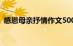 感恩母亲抒情作文500字 感恩母亲抒情作文