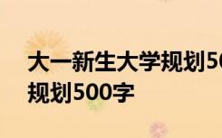 大一新生大学规划500字护理 大一新生大学规划500字