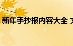 新年手抄报内容大全 文字 新年手抄小报内容